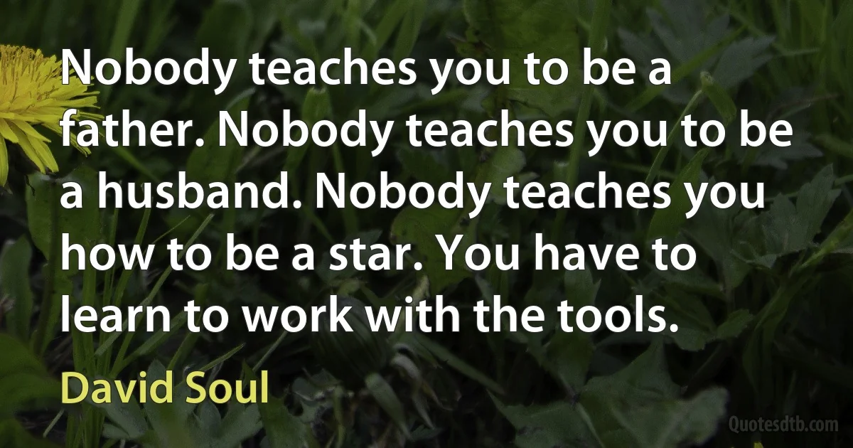 Nobody teaches you to be a father. Nobody teaches you to be a husband. Nobody teaches you how to be a star. You have to learn to work with the tools. (David Soul)