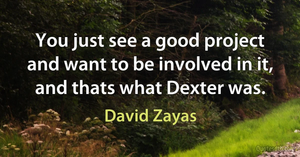 You just see a good project and want to be involved in it, and thats what Dexter was. (David Zayas)