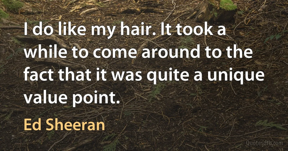 I do like my hair. It took a while to come around to the fact that it was quite a unique value point. (Ed Sheeran)