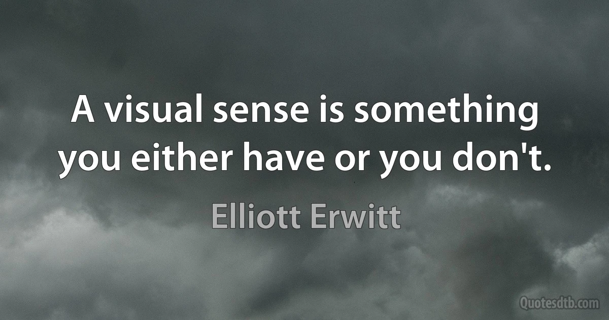 A visual sense is something you either have or you don't. (Elliott Erwitt)