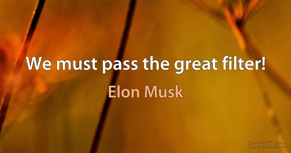 We must pass the great filter! (Elon Musk)