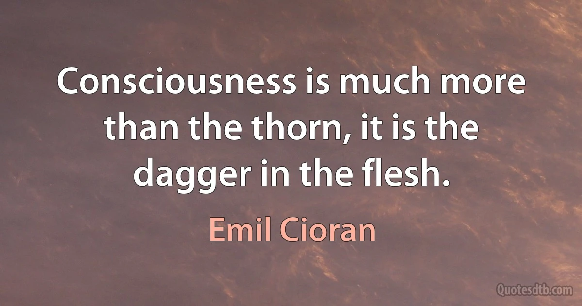 Consciousness is much more than the thorn, it is the dagger in the flesh. (Emil Cioran)