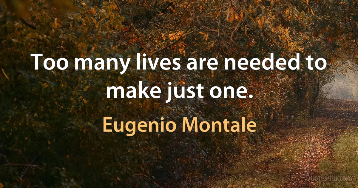 Too many lives are needed to make just one. (Eugenio Montale)