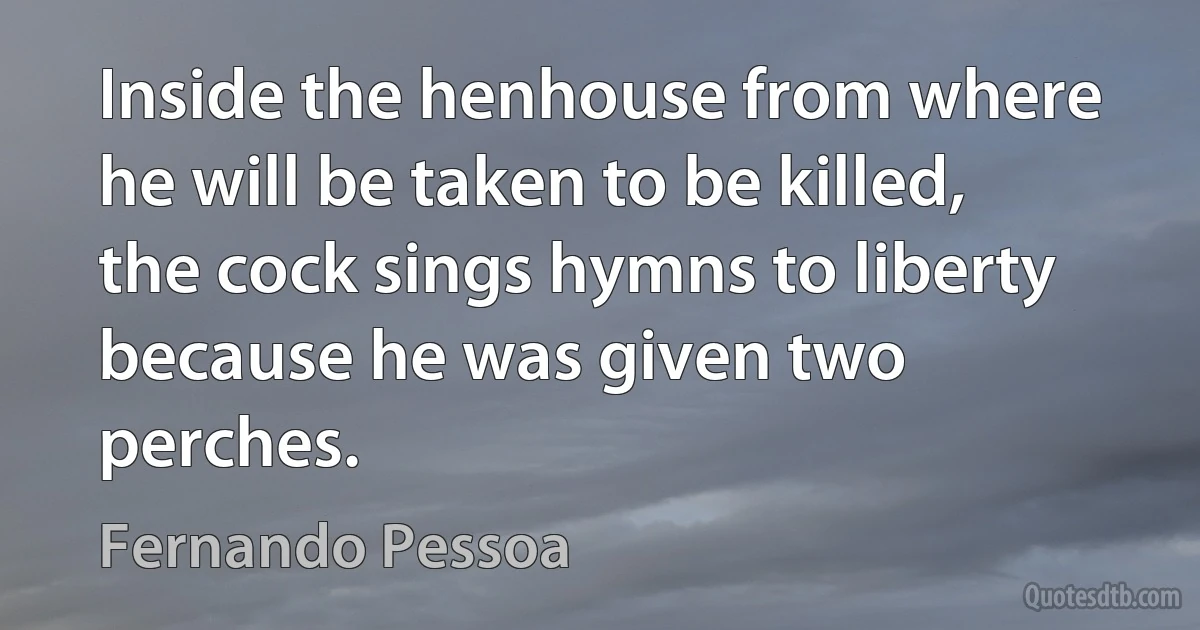 Inside the henhouse from where he will be taken to be killed, the cock sings hymns to liberty because he was given two perches. (Fernando Pessoa)