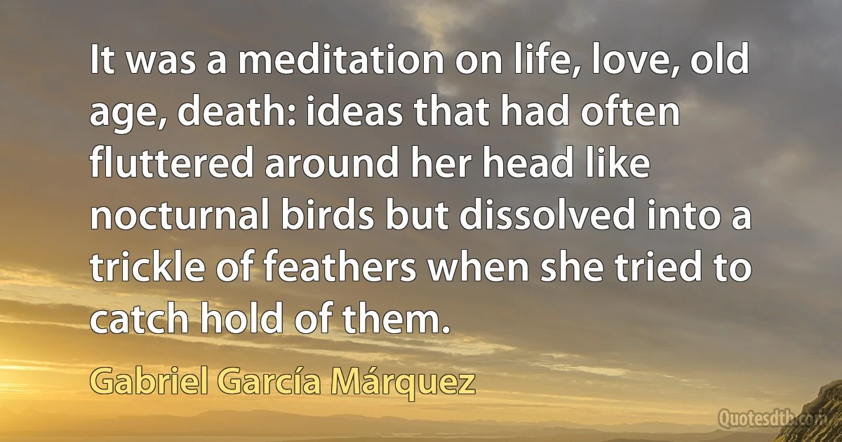 It was a meditation on life, love, old age, death: ideas that had often fluttered around her head like nocturnal birds but dissolved into a trickle of feathers when she tried to catch hold of them. (Gabriel García Márquez)