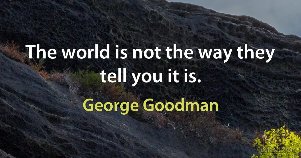 The world is not the way they tell you it is. (George Goodman)