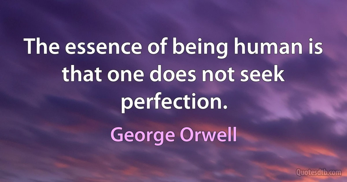 The essence of being human is that one does not seek perfection. (George Orwell)