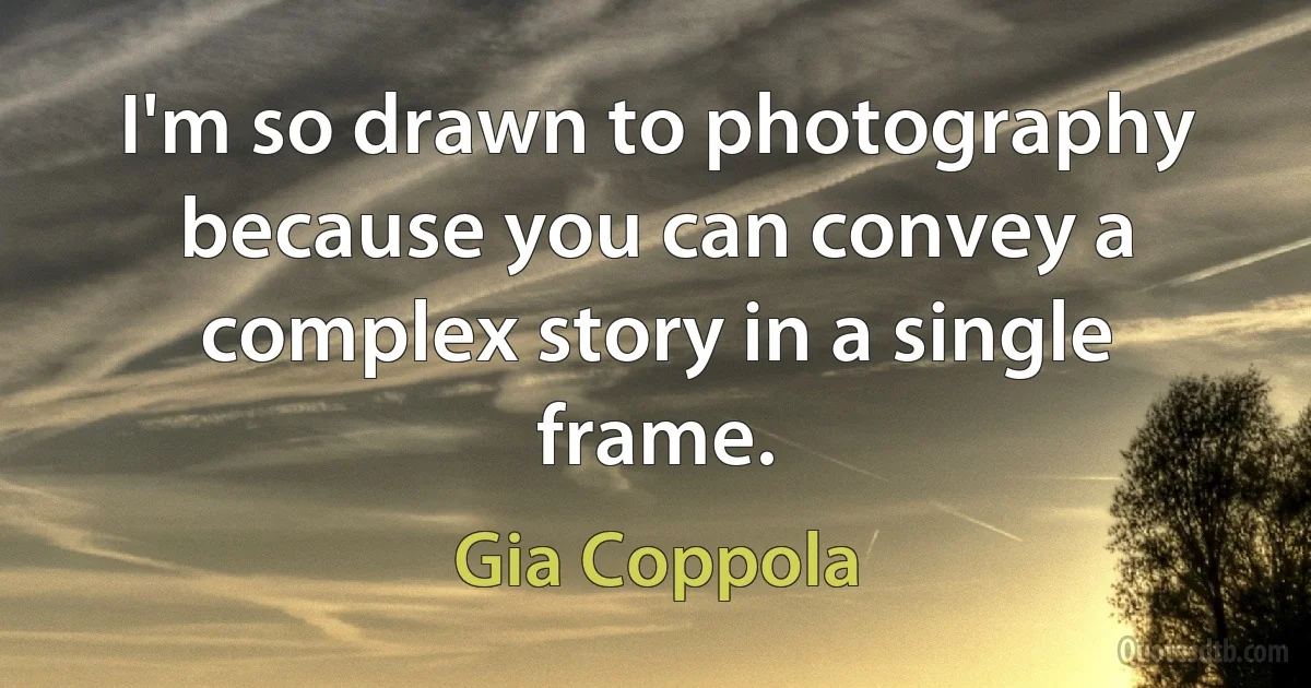 I'm so drawn to photography because you can convey a complex story in a single frame. (Gia Coppola)