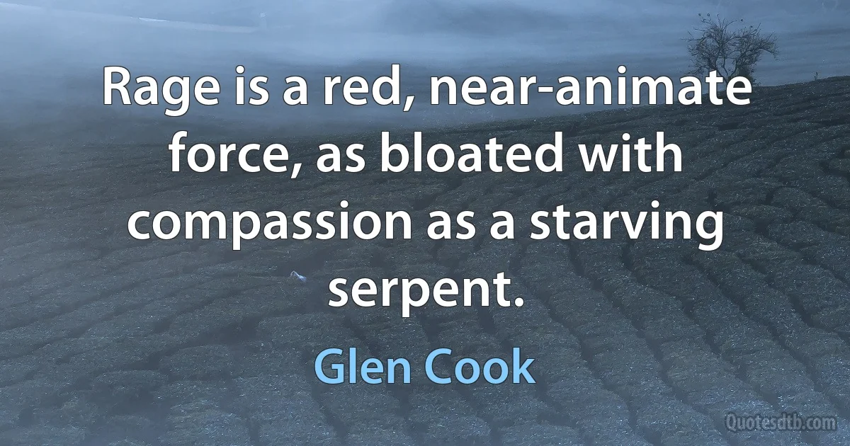 Rage is a red, near-animate force, as bloated with compassion as a starving serpent. (Glen Cook)