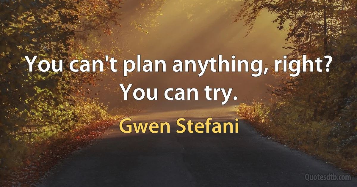 You can't plan anything, right? You can try. (Gwen Stefani)