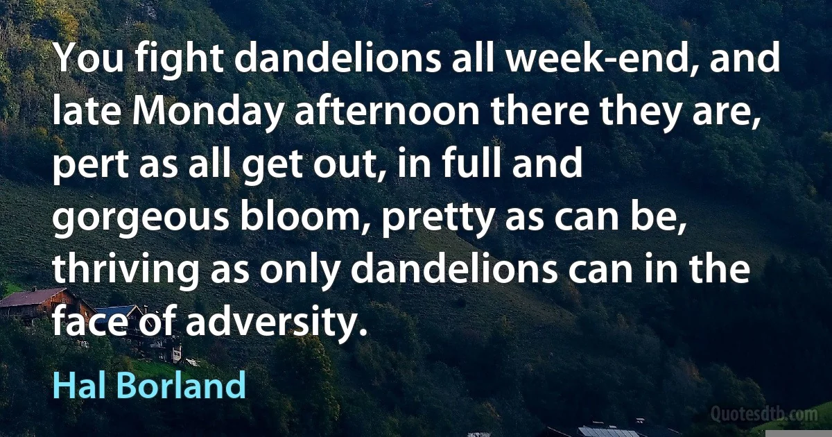 You fight dandelions all week-end, and late Monday afternoon there they are, pert as all get out, in full and gorgeous bloom, pretty as can be, thriving as only dandelions can in the face of adversity. (Hal Borland)