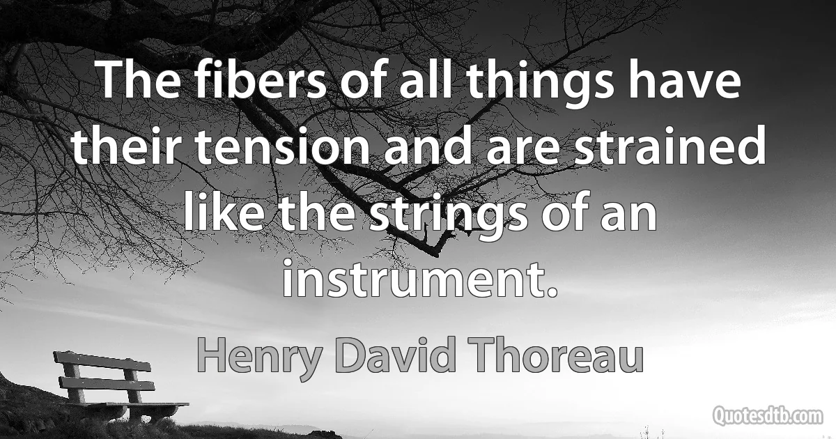 The fibers of all things have their tension and are strained like the strings of an instrument. (Henry David Thoreau)