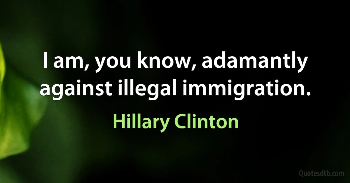 I am, you know, adamantly against illegal immigration. (Hillary Clinton)