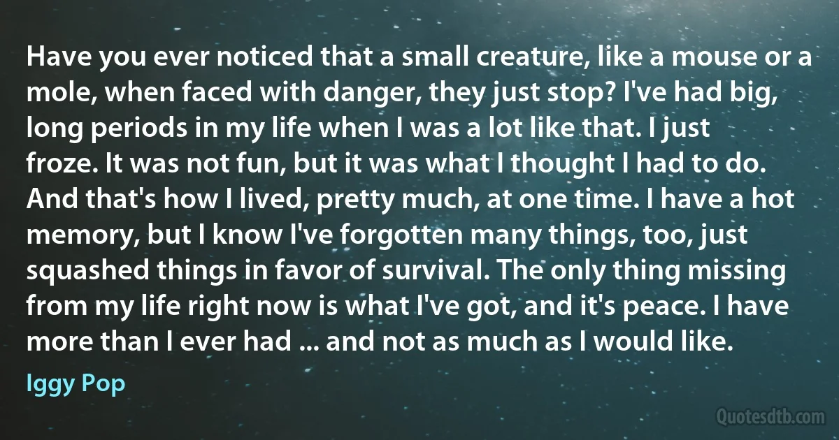 Have you ever noticed that a small creature, like a mouse or a mole, when faced with danger, they just stop? I've had big, long periods in my life when I was a lot like that. I just froze. It was not fun, but it was what I thought I had to do. And that's how I lived, pretty much, at one time. I have a hot memory, but I know I've forgotten many things, too, just squashed things in favor of survival. The only thing missing from my life right now is what I've got, and it's peace. I have more than I ever had ... and not as much as I would like. (Iggy Pop)