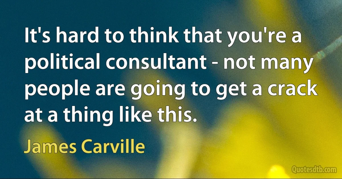 It's hard to think that you're a political consultant - not many people are going to get a crack at a thing like this. (James Carville)