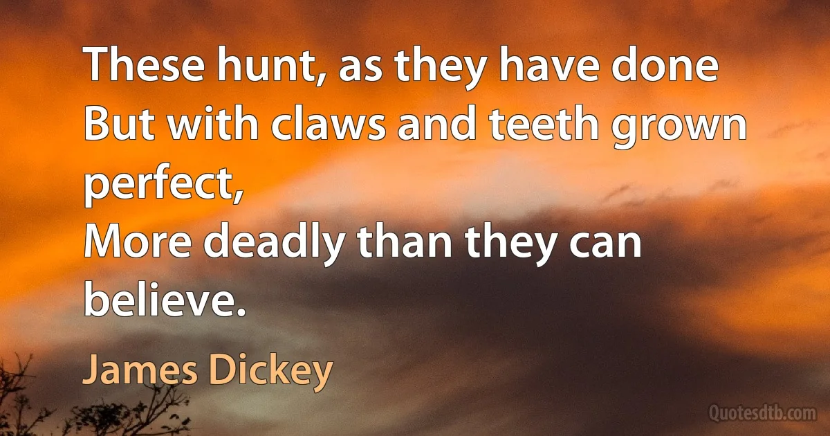 These hunt, as they have done
But with claws and teeth grown perfect,
More deadly than they can believe. (James Dickey)