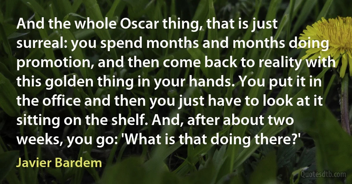 And the whole Oscar thing, that is just surreal: you spend months and months doing promotion, and then come back to reality with this golden thing in your hands. You put it in the office and then you just have to look at it sitting on the shelf. And, after about two weeks, you go: 'What is that doing there?' (Javier Bardem)