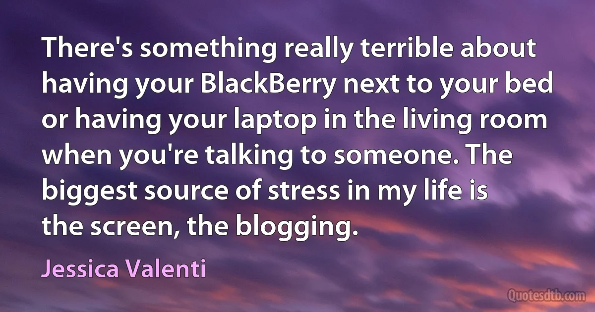 There's something really terrible about having your BlackBerry next to your bed or having your laptop in the living room when you're talking to someone. The biggest source of stress in my life is the screen, the blogging. (Jessica Valenti)