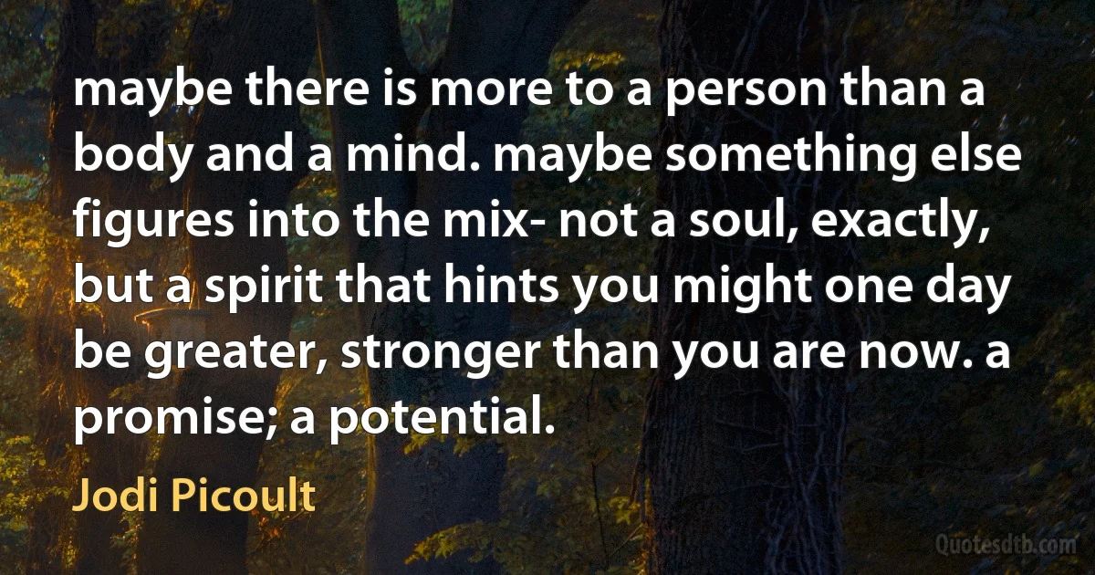 maybe there is more to a person than a body and a mind. maybe something else figures into the mix- not a soul, exactly, but a spirit that hints you might one day be greater, stronger than you are now. a promise; a potential. (Jodi Picoult)