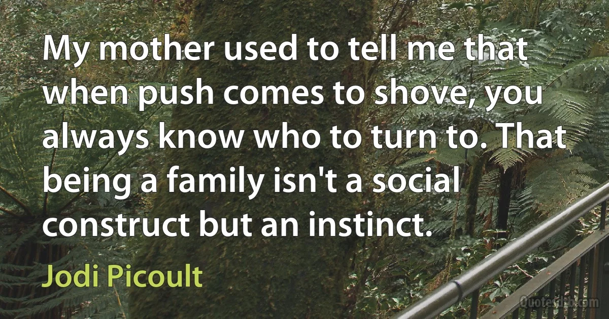 My mother used to tell me that when push comes to shove, you always know who to turn to. That being a family isn't a social construct but an instinct. (Jodi Picoult)