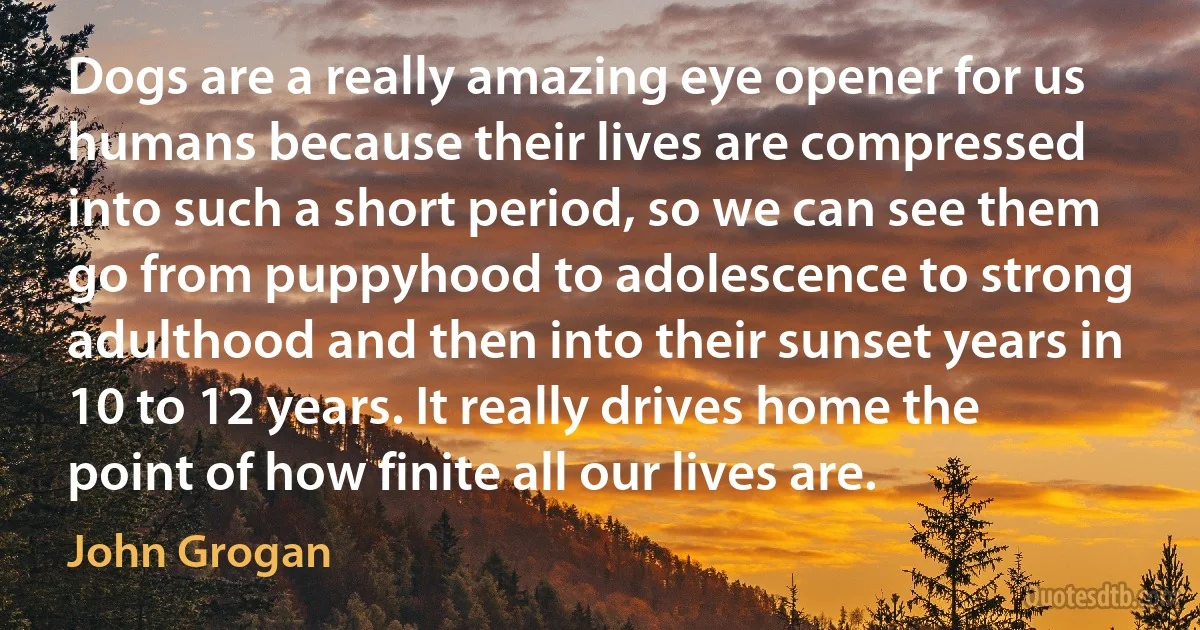 Dogs are a really amazing eye opener for us humans because their lives are compressed into such a short period, so we can see them go from puppyhood to adolescence to strong adulthood and then into their sunset years in 10 to 12 years. It really drives home the point of how finite all our lives are. (John Grogan)