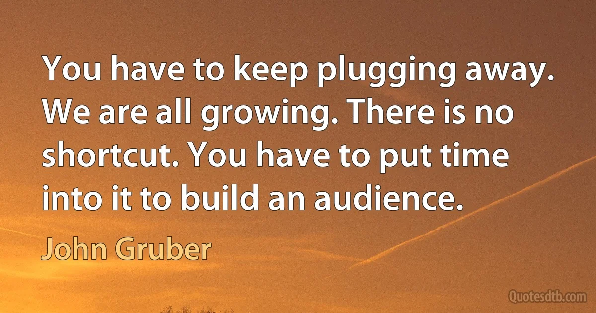 You have to keep plugging away. We are all growing. There is no shortcut. You have to put time into it to build an audience. (John Gruber)