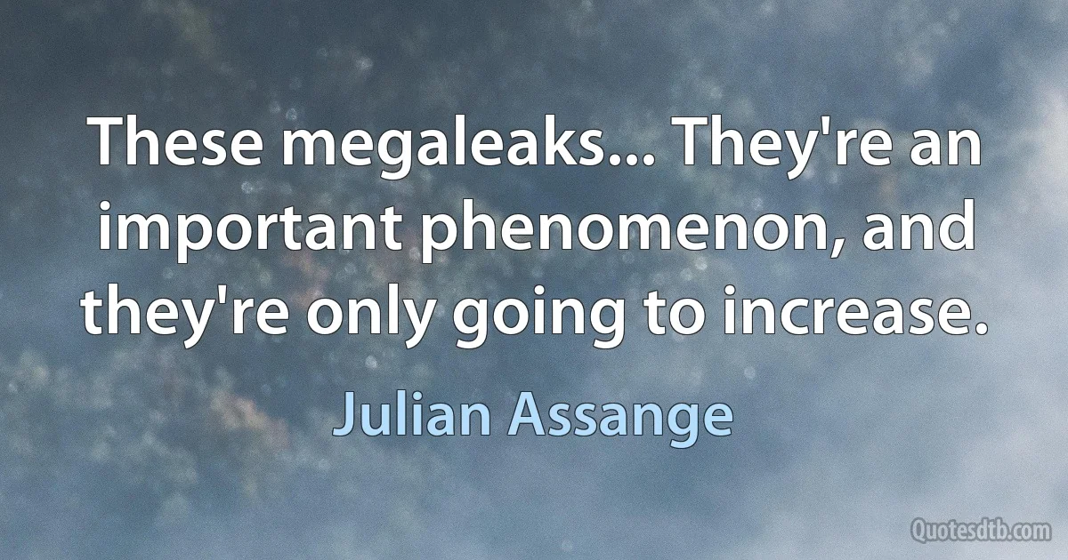 These megaleaks... They're an important phenomenon, and they're only going to increase. (Julian Assange)