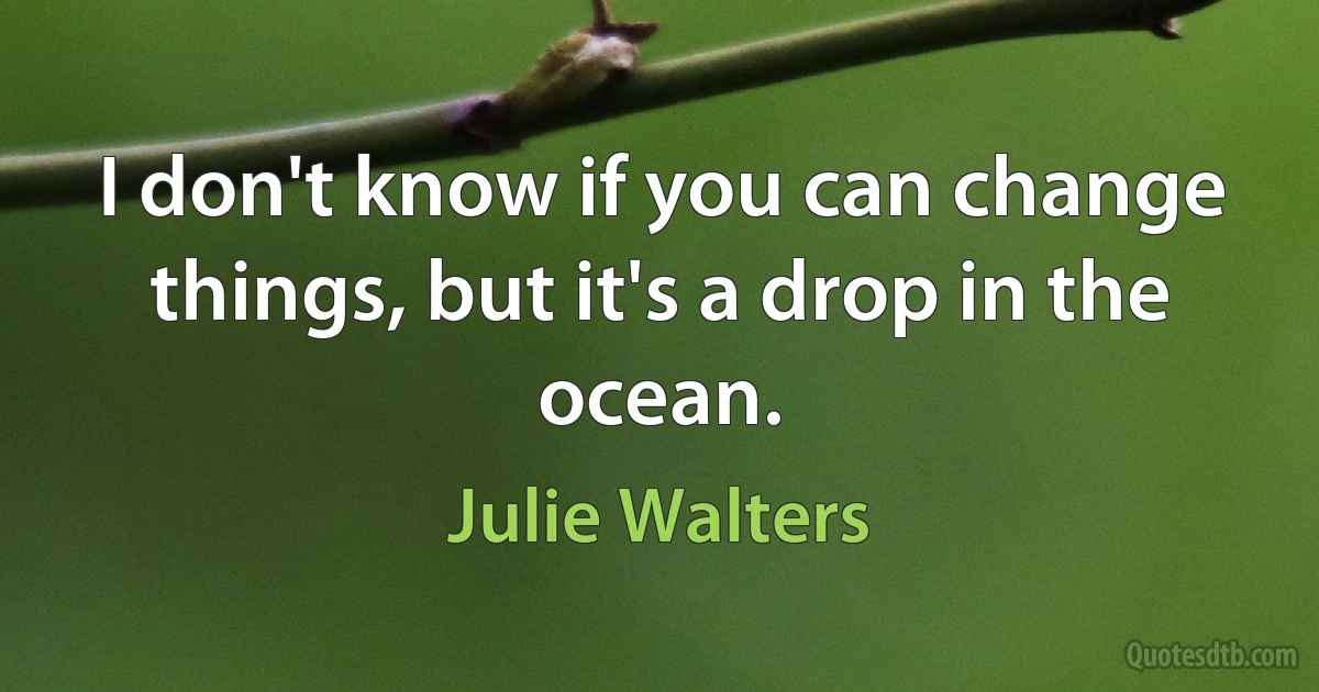 I don't know if you can change things, but it's a drop in the ocean. (Julie Walters)