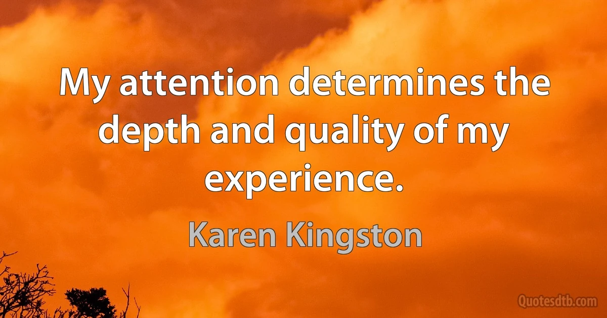 My attention determines the depth and quality of my experience. (Karen Kingston)