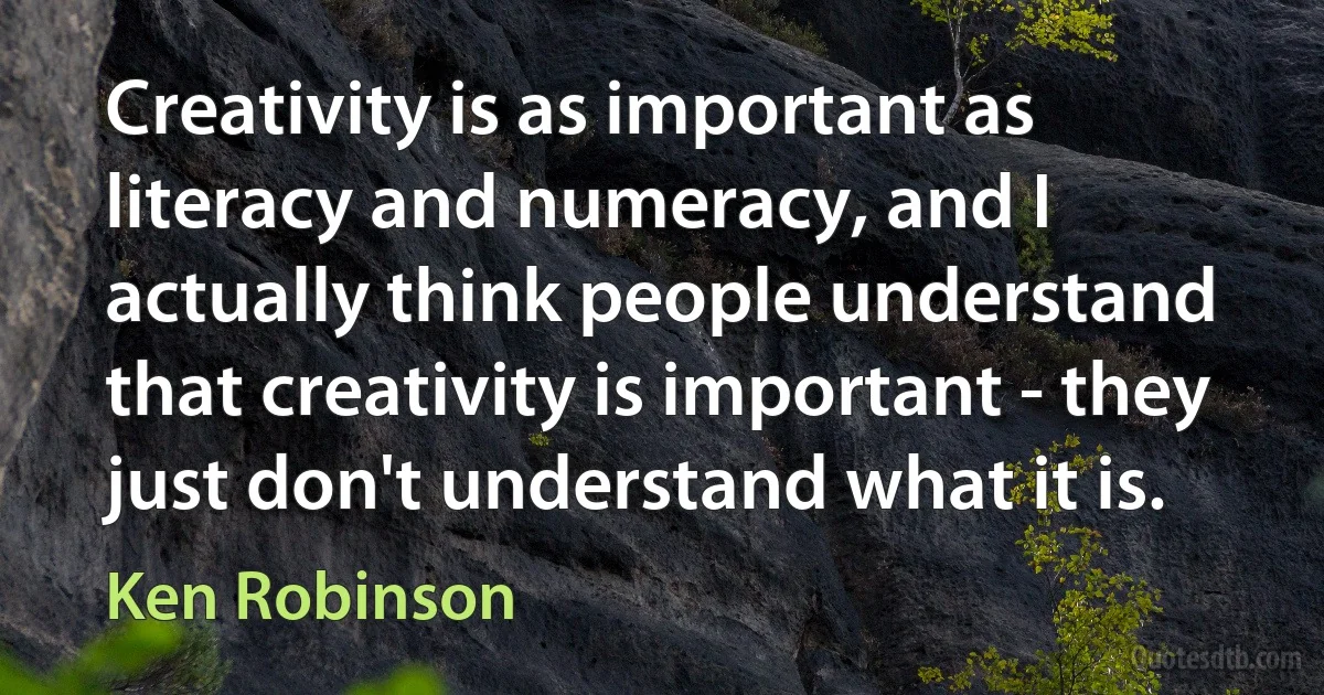 Creativity is as important as literacy and numeracy, and I actually think people understand that creativity is important - they just don't understand what it is. (Ken Robinson)