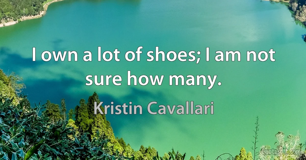 I own a lot of shoes; I am not sure how many. (Kristin Cavallari)