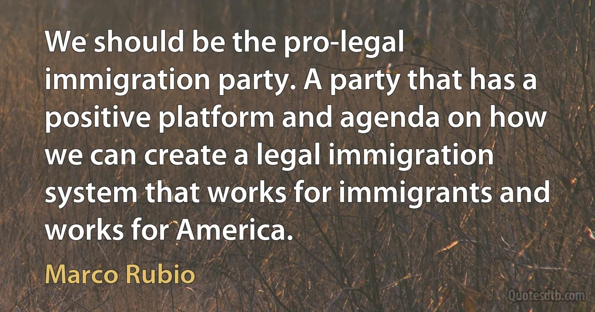 We should be the pro-legal immigration party. A party that has a positive platform and agenda on how we can create a legal immigration system that works for immigrants and works for America. (Marco Rubio)