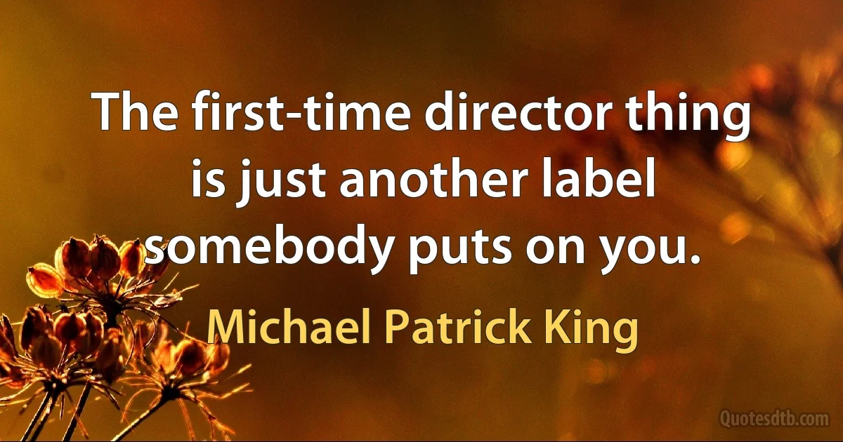 The first-time director thing is just another label somebody puts on you. (Michael Patrick King)