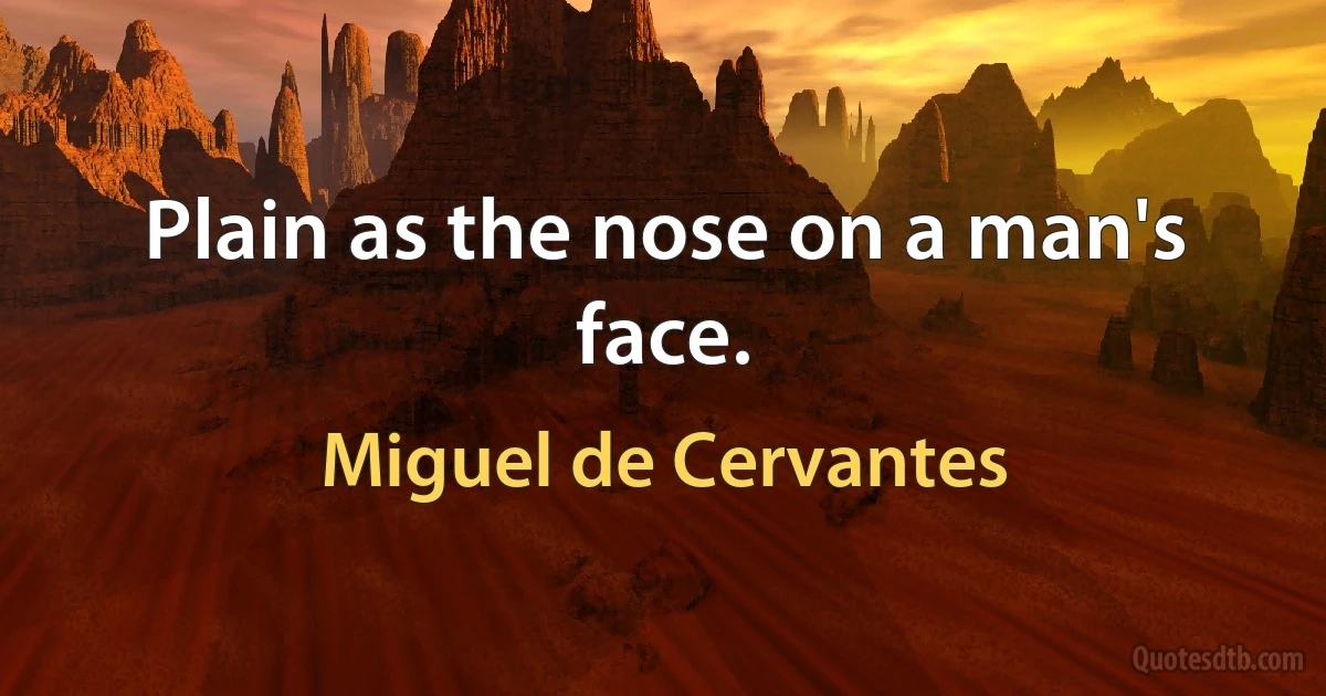 Plain as the nose on a man's face. (Miguel de Cervantes)