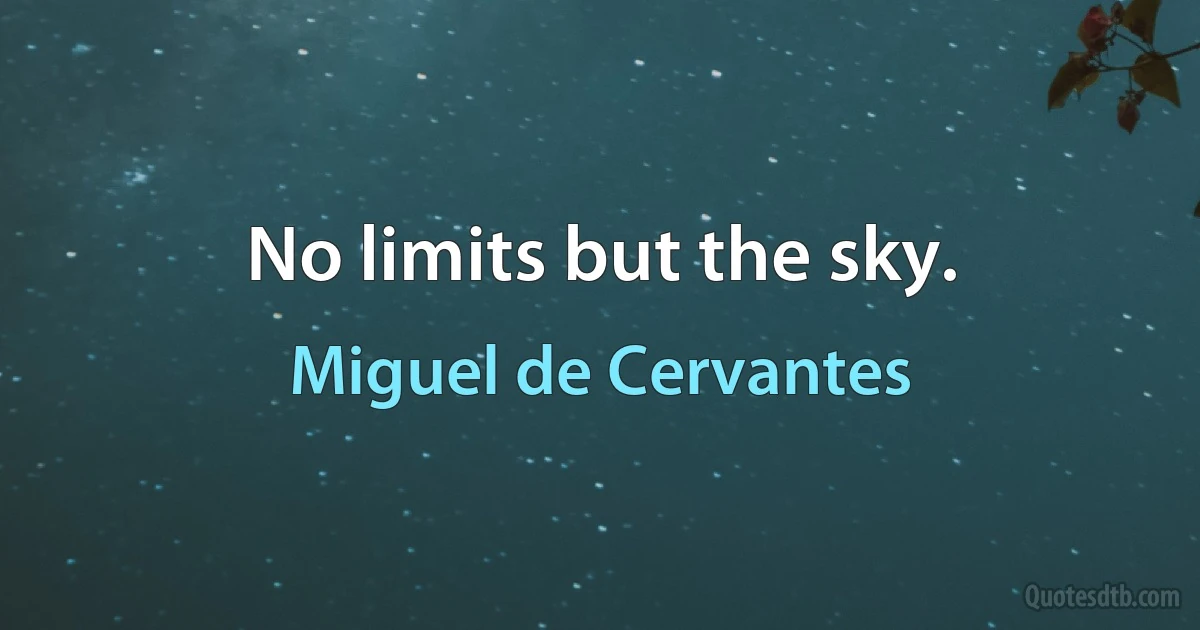 No limits but the sky. (Miguel de Cervantes)