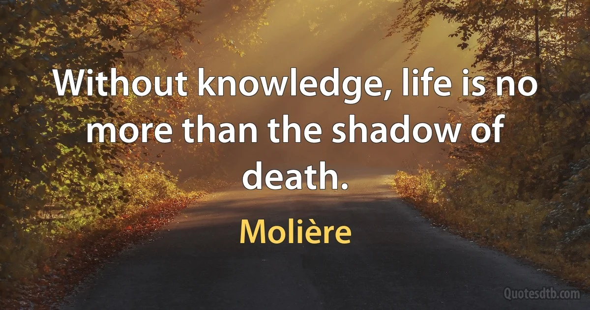 Without knowledge, life is no more than the shadow of death. (Molière)