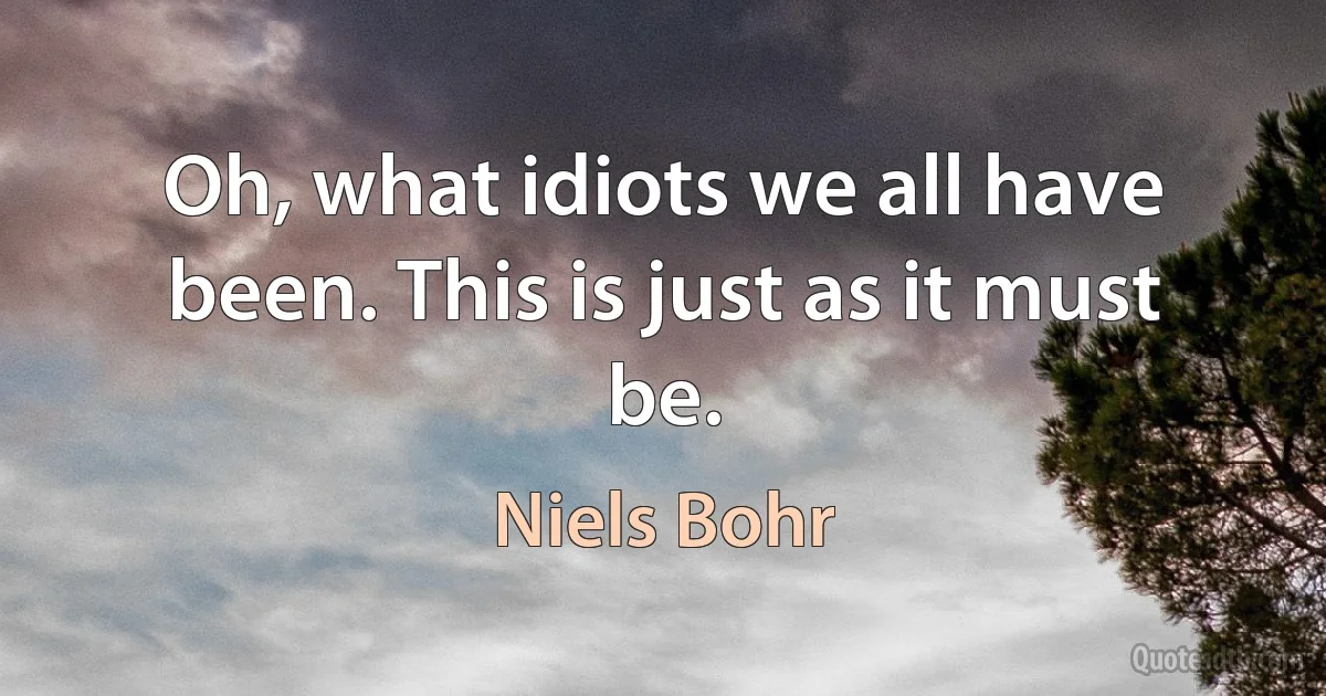 Oh, what idiots we all have been. This is just as it must be. (Niels Bohr)