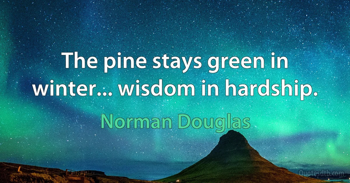 The pine stays green in winter... wisdom in hardship. (Norman Douglas)