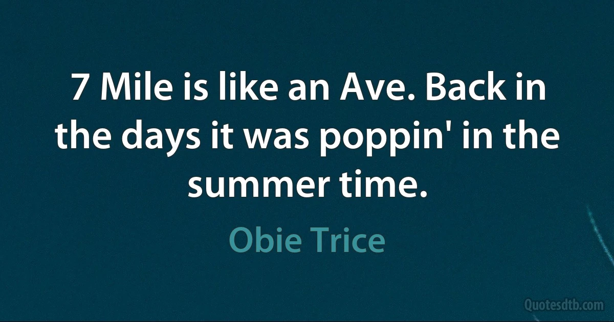 7 Mile is like an Ave. Back in the days it was poppin' in the summer time. (Obie Trice)