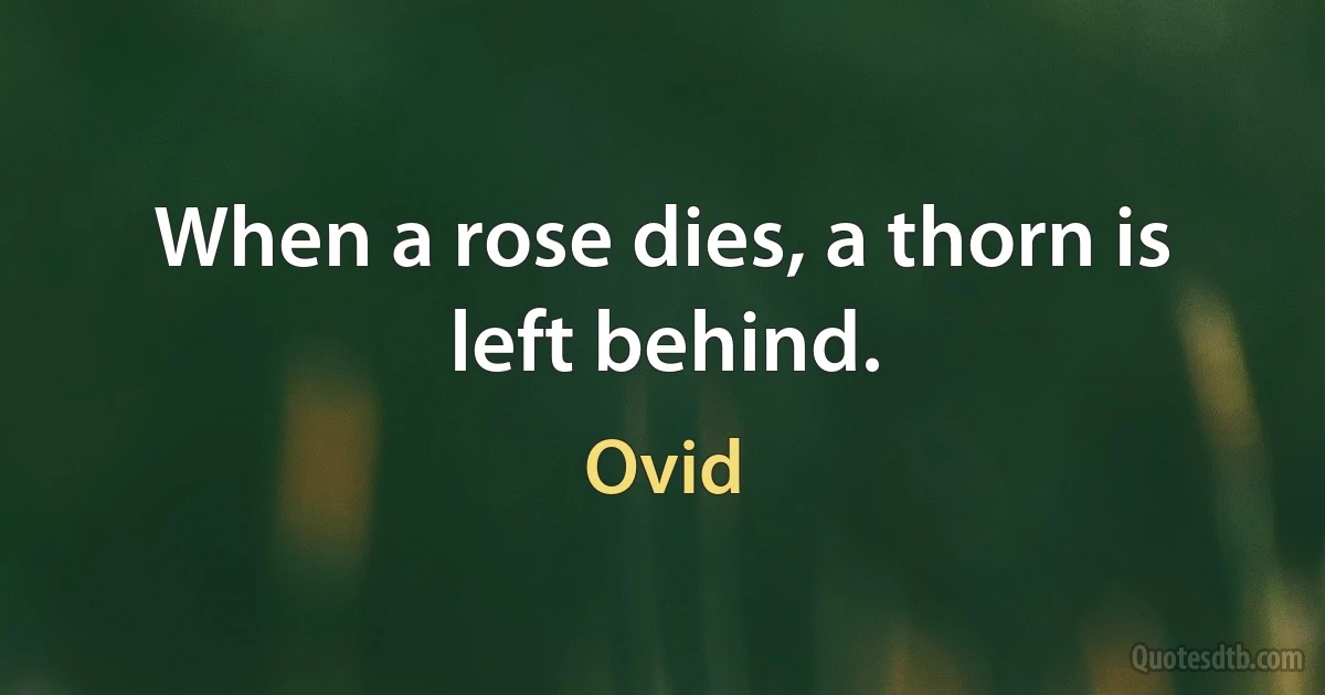 When a rose dies, a thorn is left behind. (Ovid)