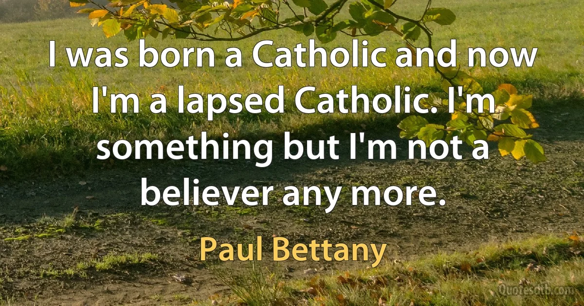 I was born a Catholic and now I'm a lapsed Catholic. I'm something but I'm not a believer any more. (Paul Bettany)