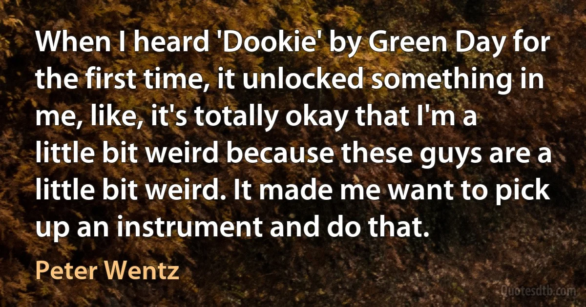 When I heard 'Dookie' by Green Day for the first time, it unlocked something in me, like, it's totally okay that I'm a little bit weird because these guys are a little bit weird. It made me want to pick up an instrument and do that. (Peter Wentz)