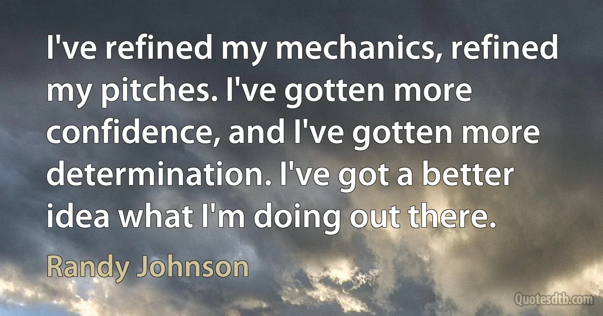 I've refined my mechanics, refined my pitches. I've gotten more confidence, and I've gotten more determination. I've got a better idea what I'm doing out there. (Randy Johnson)