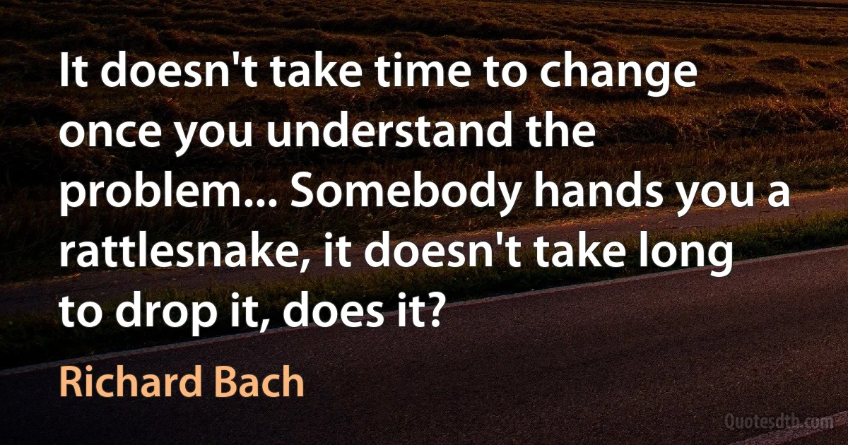 It doesn't take time to change once you understand the problem... Somebody hands you a rattlesnake, it doesn't take long to drop it, does it? (Richard Bach)