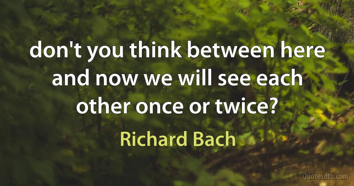 don't you think between here and now we will see each other once or twice? (Richard Bach)