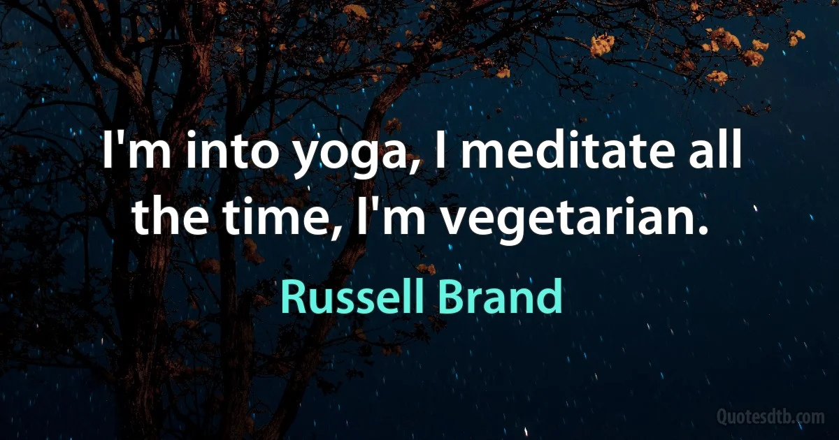 I'm into yoga, I meditate all the time, I'm vegetarian. (Russell Brand)