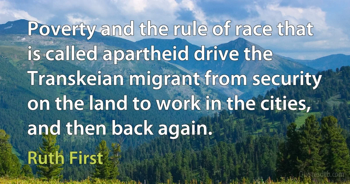 Poverty and the rule of race that is called apartheid drive the Transkeian migrant from security on the land to work in the cities, and then back again. (Ruth First)