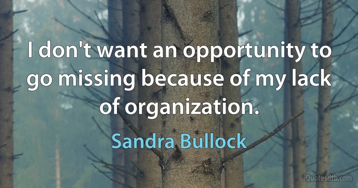 I don't want an opportunity to go missing because of my lack of organization. (Sandra Bullock)