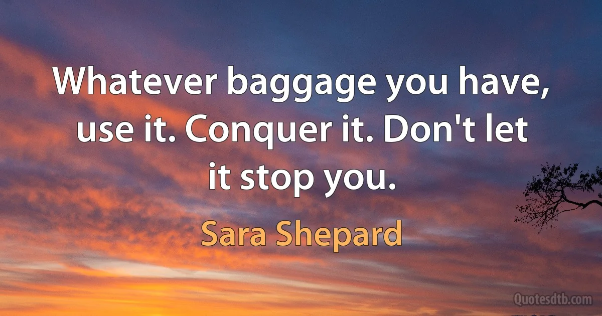 Whatever baggage you have, use it. Conquer it. Don't let it stop you. (Sara Shepard)