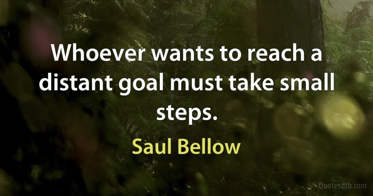 Whoever wants to reach a distant goal must take small steps. (Saul Bellow)